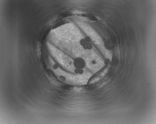 X0000074030570200609181930