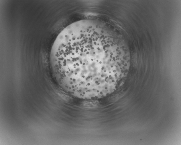 X0000074030571200609181930