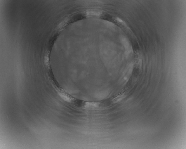 X0000074030573200609181930