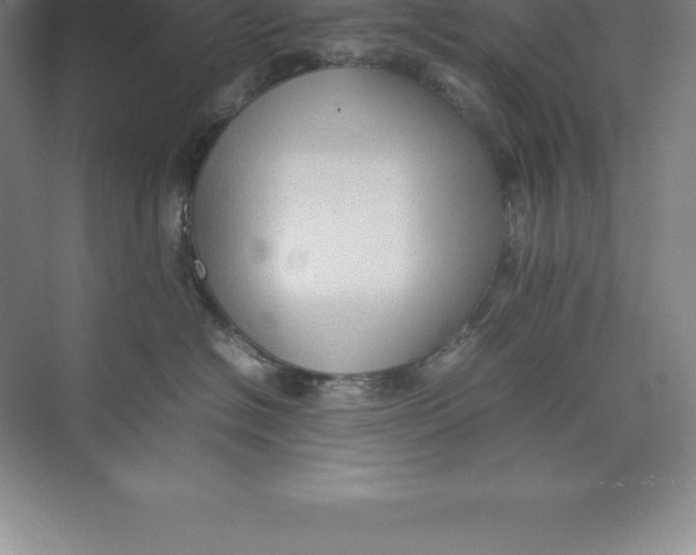 X0000074030574200609181930