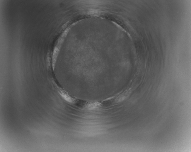 X0000074030576200609181930