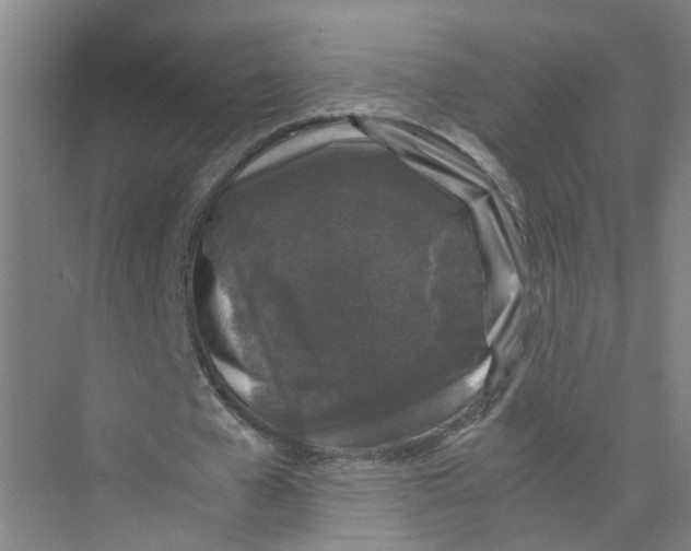 X0000074030577200609181929