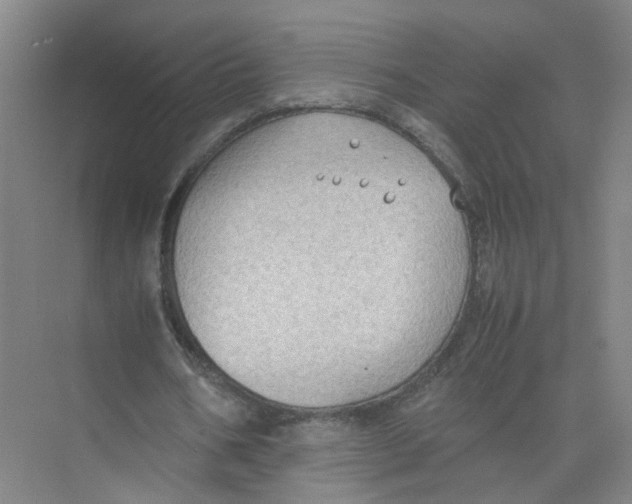 X0000074030578200609181929