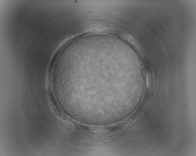 X0000074030579200609181929