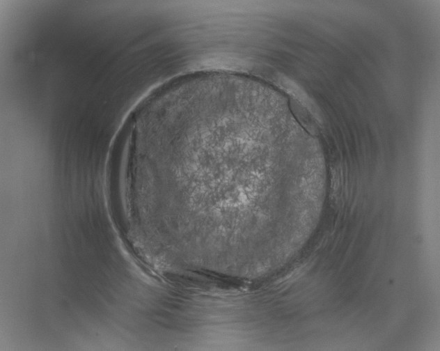 X0000074030580200609181929