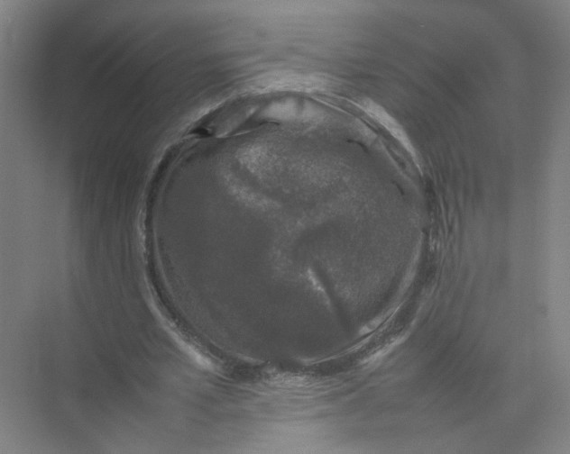 X0000074030581200609181929