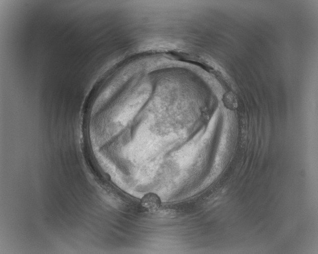 X0000074030582200609181929