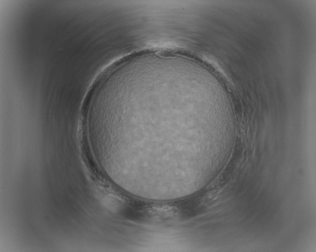 X0000074030583200609181929