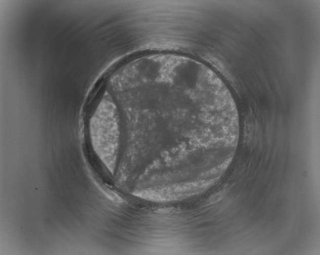 X0000074030584200609181929