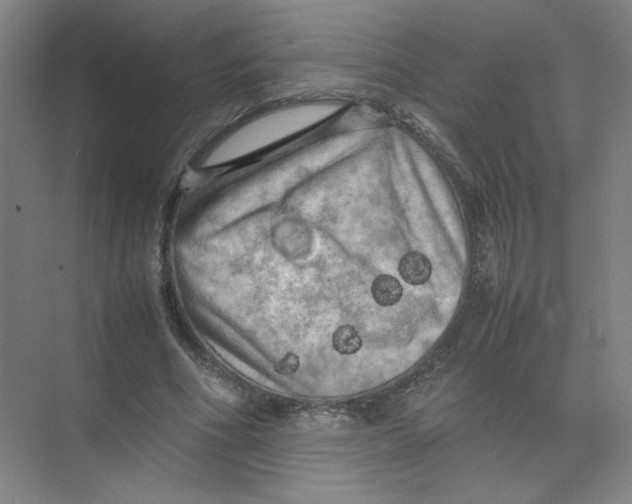 X0000074030586200609181929