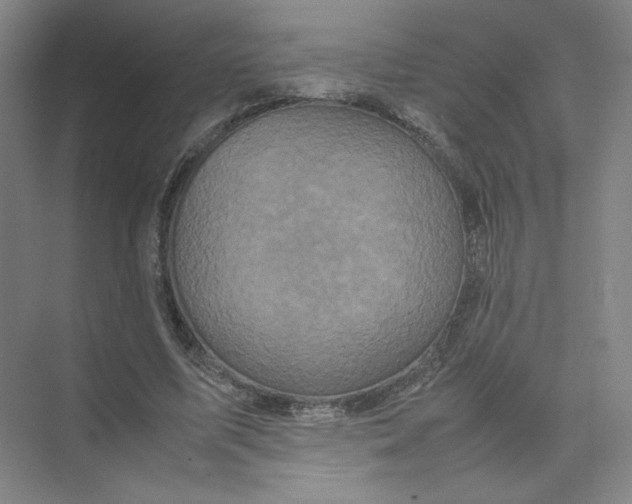 X0000074030587200609181929