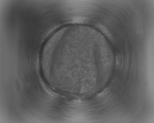 X0000074030588200609181929