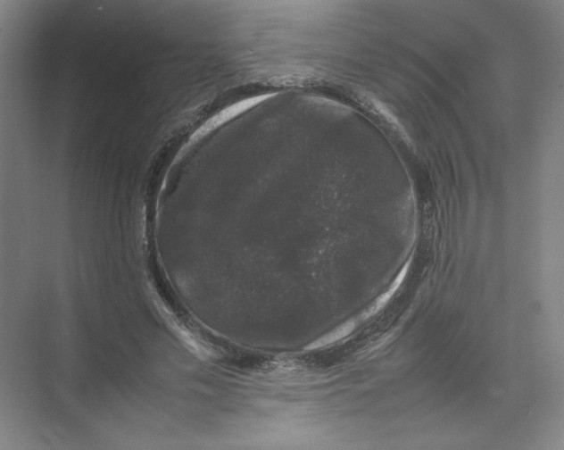 X0000074030589200609181929