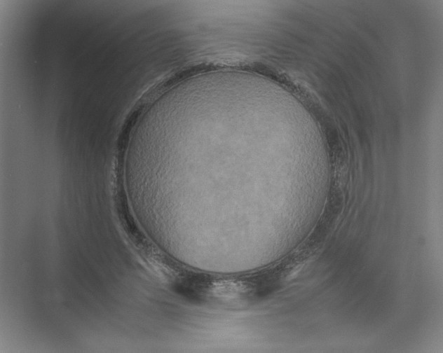 X0000074030591200609181929