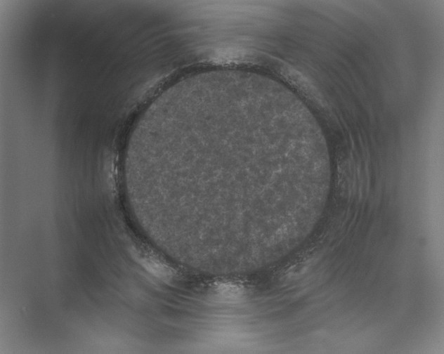 X0000074030592200609181929