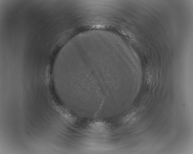 X0000074030594200609181929