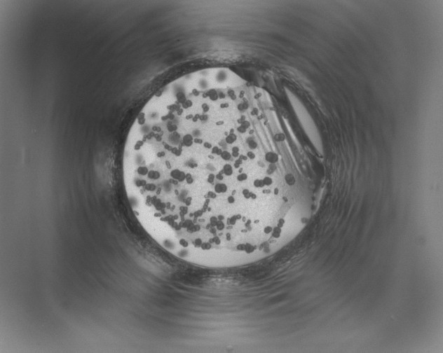 X0000074030596200609181929