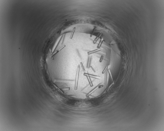 X0000074030597200609181929