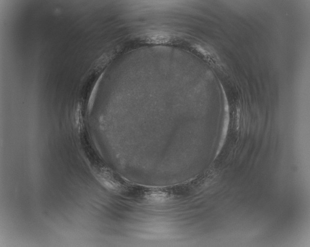 X0000074030598200609181929