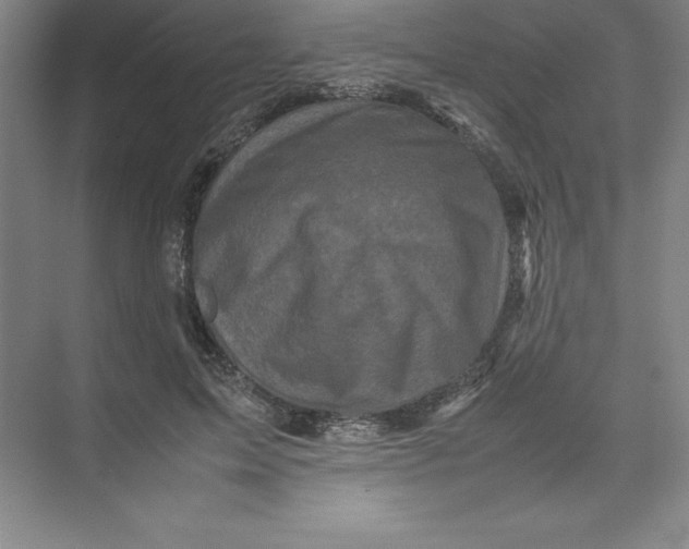 X0000074030599200609181928