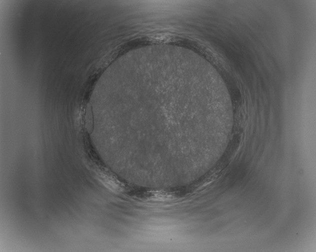 X0000074030601200609181928