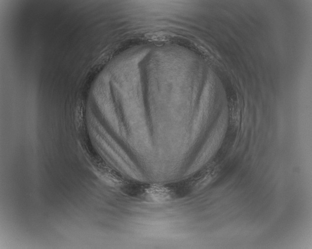 X0000074030603200609181928