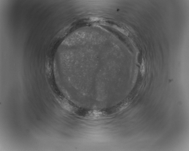 X0000074030607200609181928