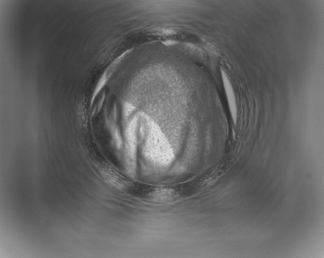 X0000074030609200609181928