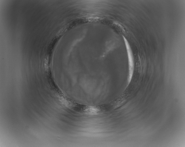 X0000074030610200609181928