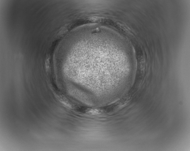 X0000074030611200609181928