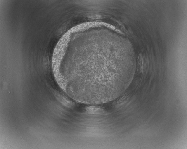 X0000074030614200609181928