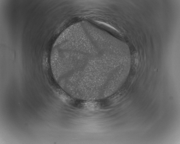 X0000074030615200609181928