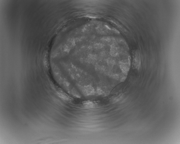 X0000074030616200609181928