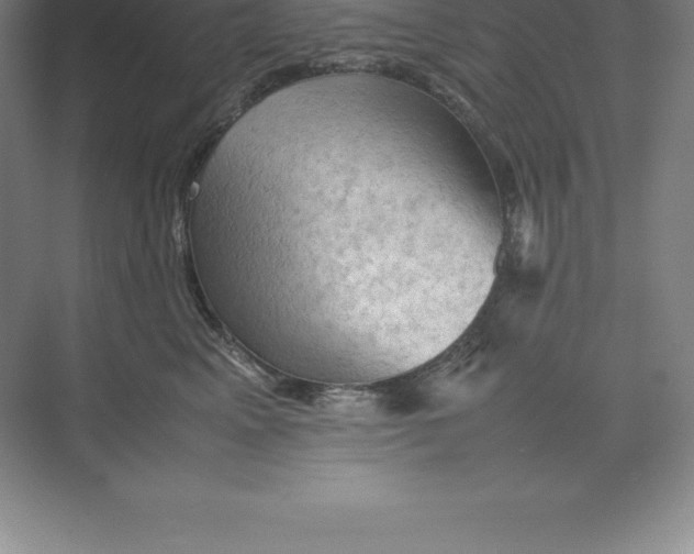 X0000074030617200609181928