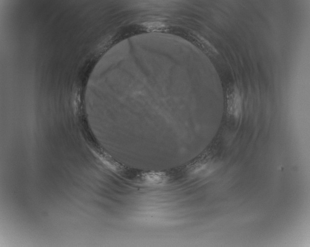 X0000074030618200609181928