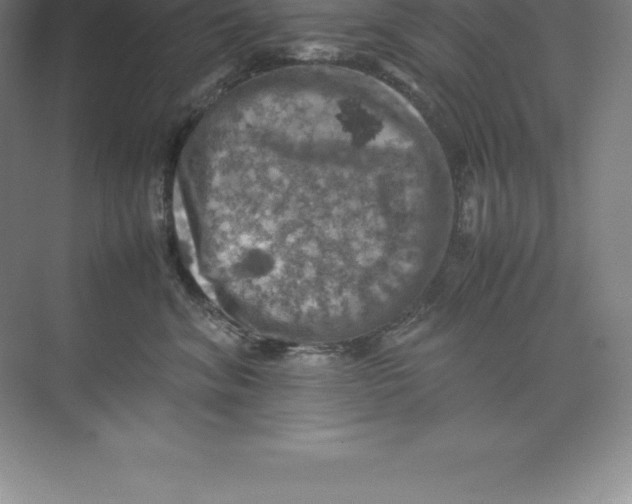 X0000074030620200609181928