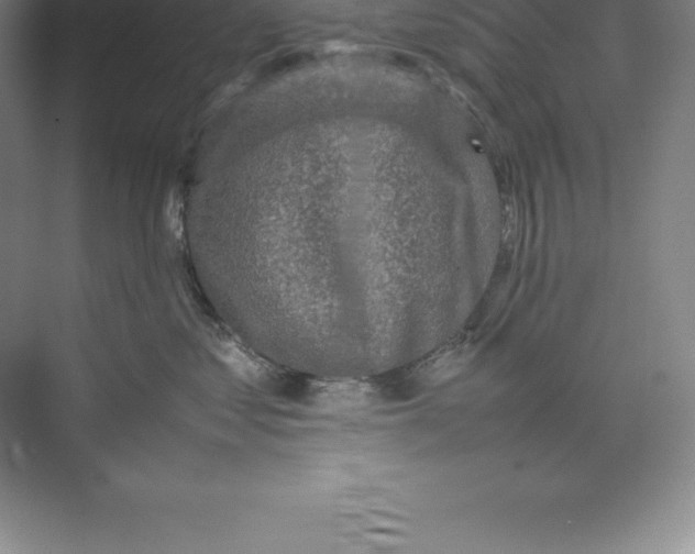 X0000074030621200609181928