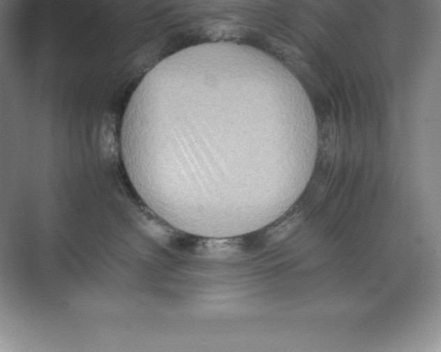 X0000074030622200609181928