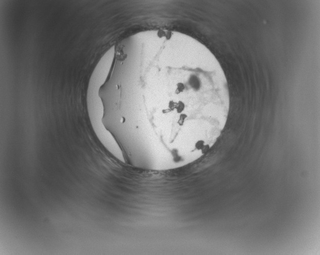 X0000074030624200609181928