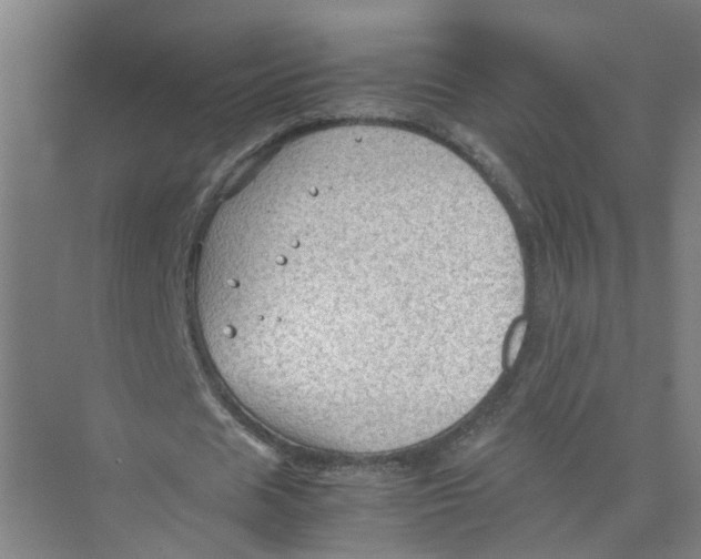 X0000074030625200609181927