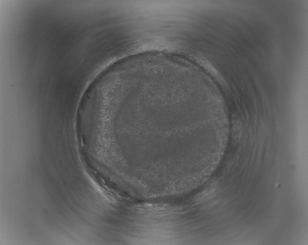 X0000074030626200609181927