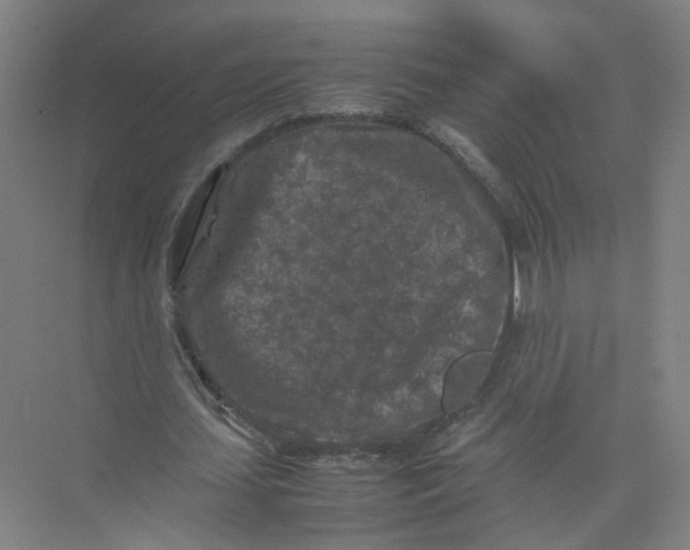 X0000074030627200609181927