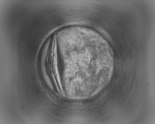 X0000074030628200609181927