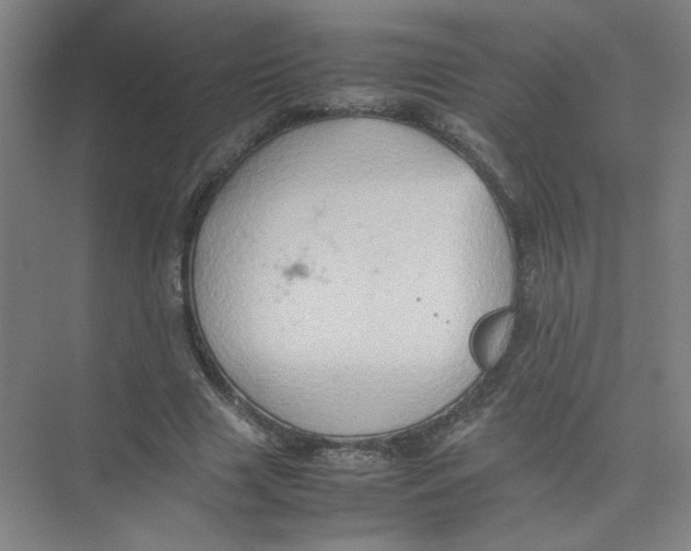 X0000074030633200609181927