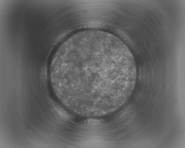 X0000074030636200609181927