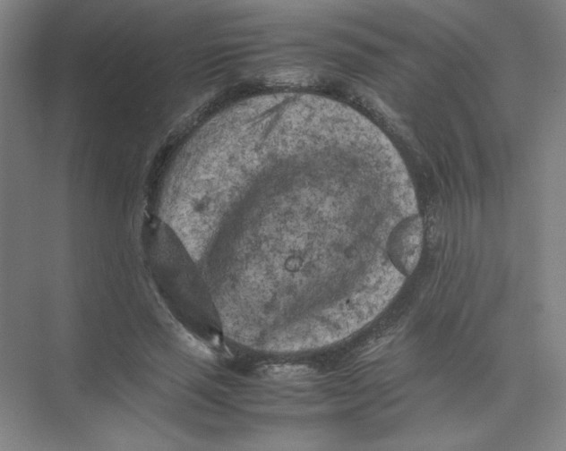 X0000074030637200609181927