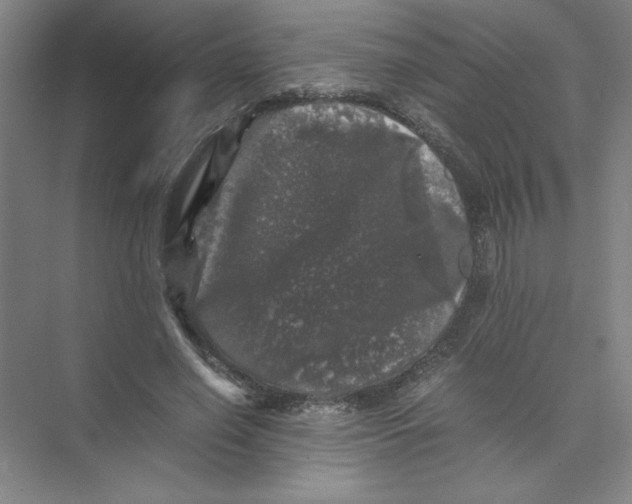 X0000074030638200609181927