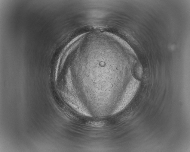 X0000074030639200609181928