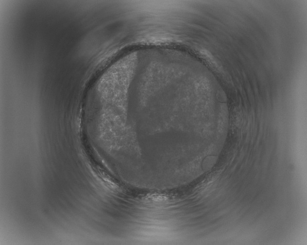 X0000074030640200609181928