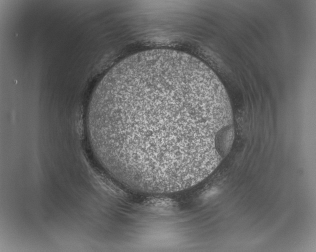 X0000074030642200609181928